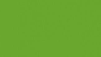  Фасад из акрила 063 Lime-tree green (Липово-зеленый)