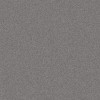 Alluminium-Metallic 9007