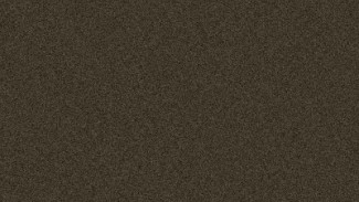  Brown-Shining 9015