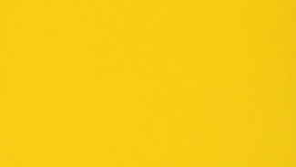  Yellow-Sub